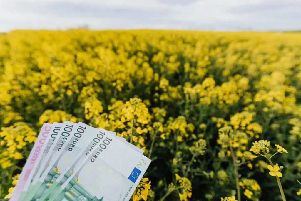 Finanzielle Anreize und Fördermöglichkeiten
