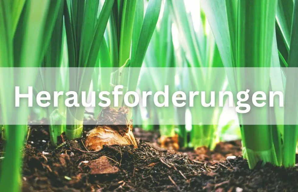 Herausforderungen und Grenzen des integrierten Pflanzenschutzes