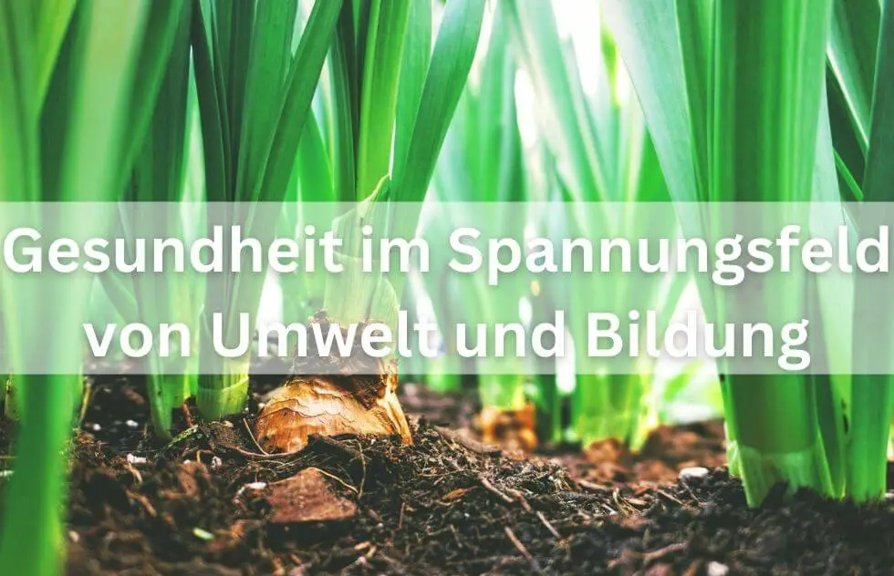 Gesundheit im Spannungsfeld von Umwelt und Bildung