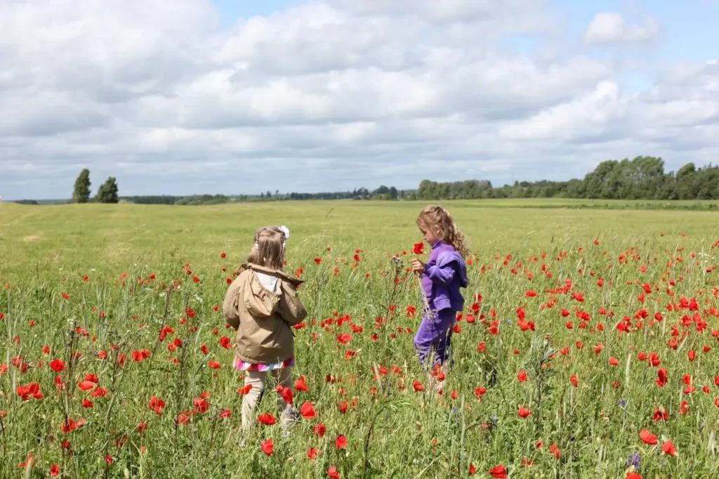 Was ist Umweltbildung überhaupt?